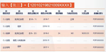 百家风控公司揭秘系列 第91期——征信公司及产品调研报告与市场调查深度解析
